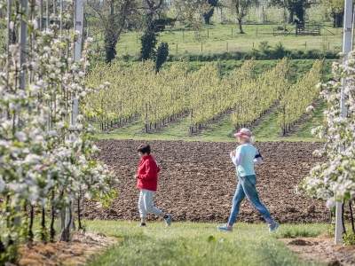 Farm Run & Walk - Borgloon - 2022